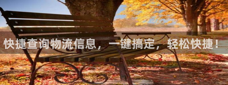 28圈可以退款吗