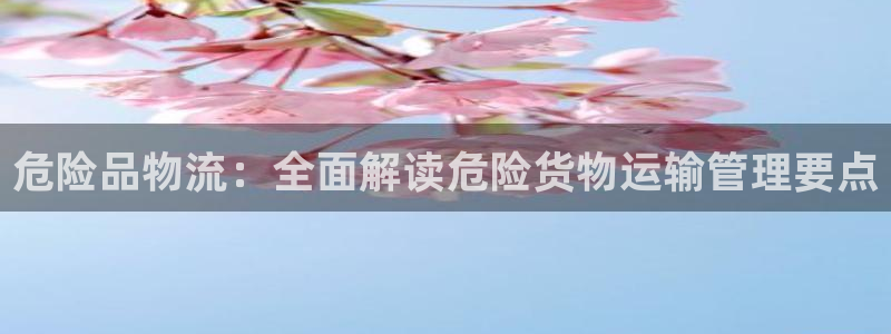28圈辅助