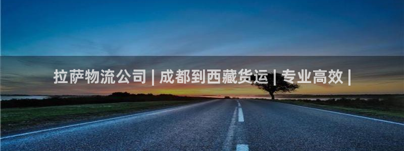 28圈注册官网：拉萨物流公司 | 成