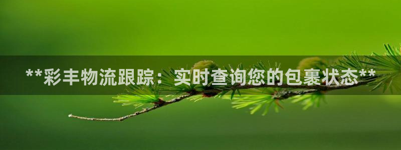 28圈充值不到账怎么回事