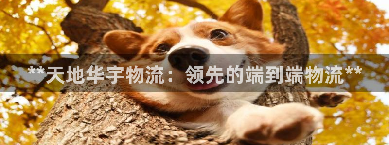 28圈官方官网版：**天地华宇物流：
