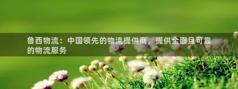 28圈注册网站多少：鲁西物流：中国领