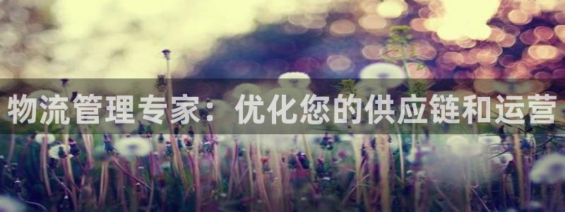 28圈赌博软件正规吗：物流管理专家：