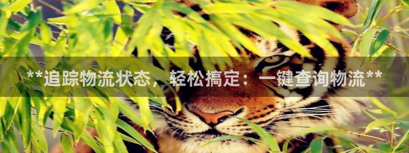 28圈充值不处理怎么办
