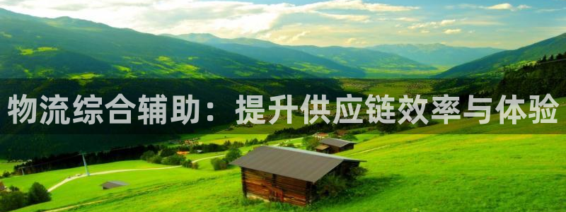 28圈注册上限是啥意思：物流综合辅助