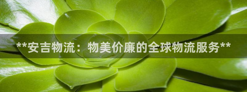 28圈注册网站谁有：**安吉物流：物