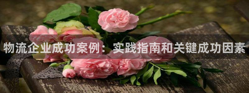 28圈登录不上咋回事：物流企业成功案