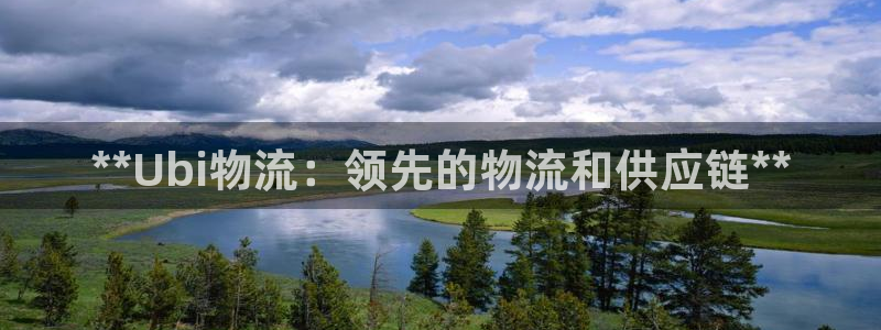 28圈p图上分下款通道：**Ubi物流：领先的物流和供应链*
