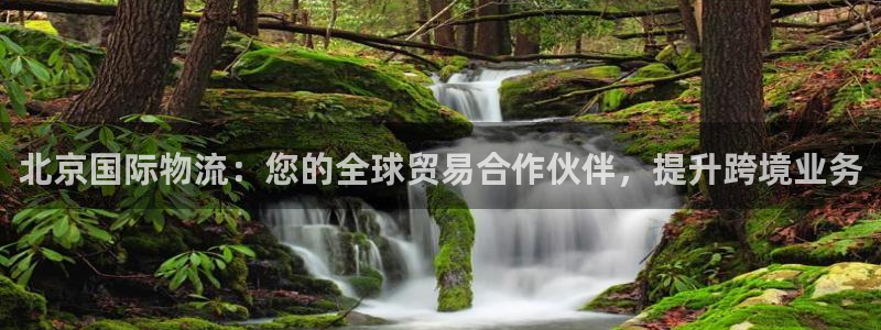 28圈登录流程：北京国际物流：您的全球贸易合作伙伴，提升跨境