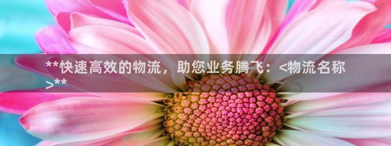 28圈注册问一问：**快速高效的物流