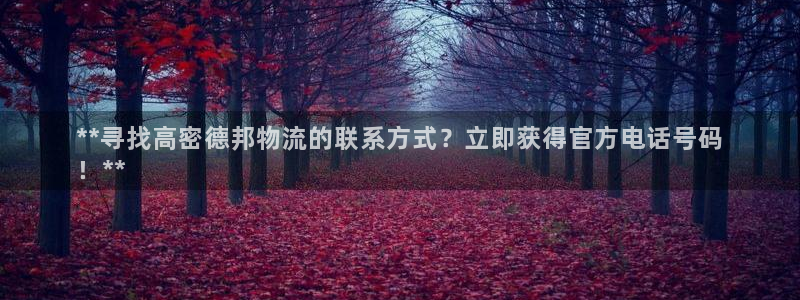 28圈注册与教程：**寻找高密德邦物