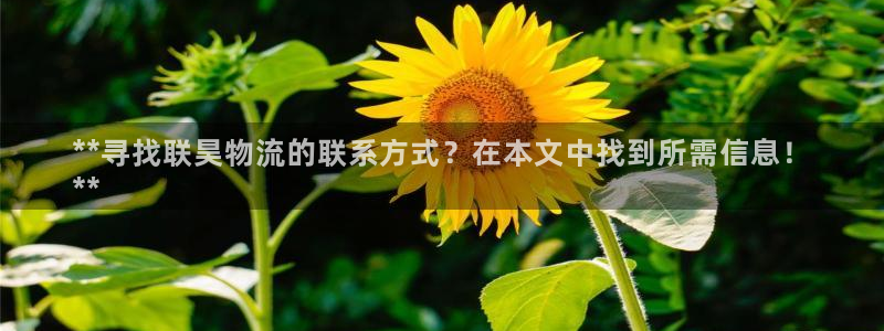 28圈app怎么注册账号：**寻找联
