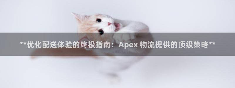 28圈PG电子游戏