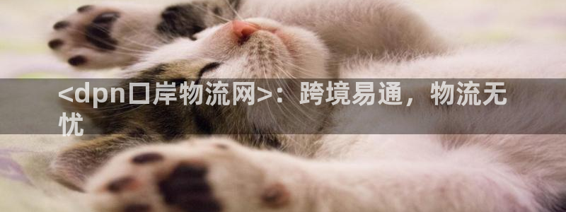 28圈app注册地址：<dpn口岸物
