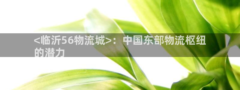 28圈相信品牌的力量：<临沂56物流