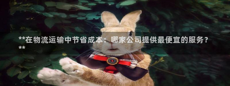 28圈注册官网：**在物流运输中节省