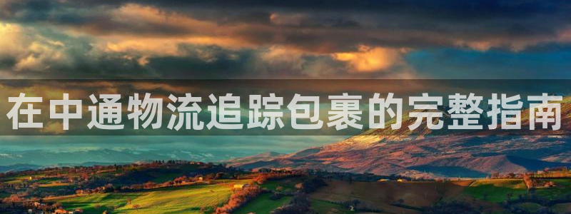 28圈注册网页版：在中通物流追踪包裹