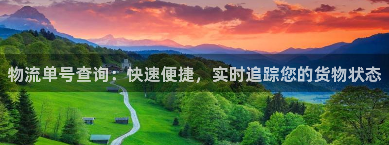 28圈龙虎：物流单号查询：快速便捷，实时追踪您的货物状态