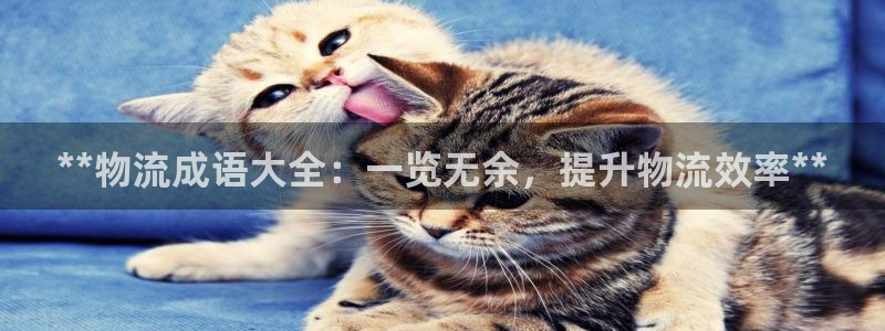 28圈注册入口与教程：**物流成语大