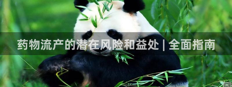 28圈游戏