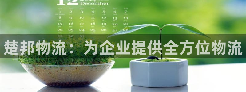 28圈免费充钱：楚邦物流：为企业提供