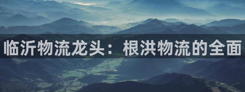 28圈充值不处理：临沂物流龙头：根洪