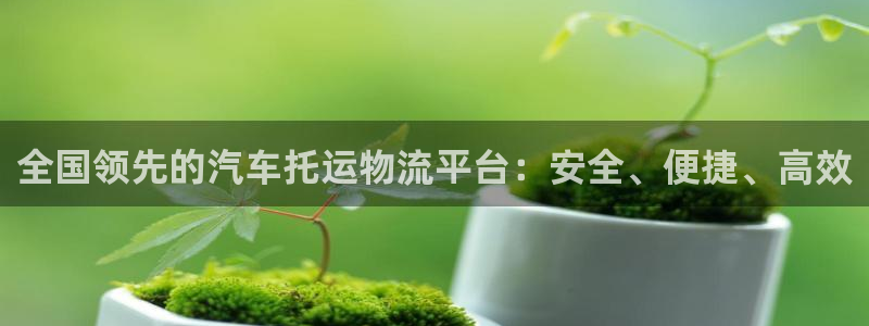 28圈官网开奖结果预测：全国领先的汽