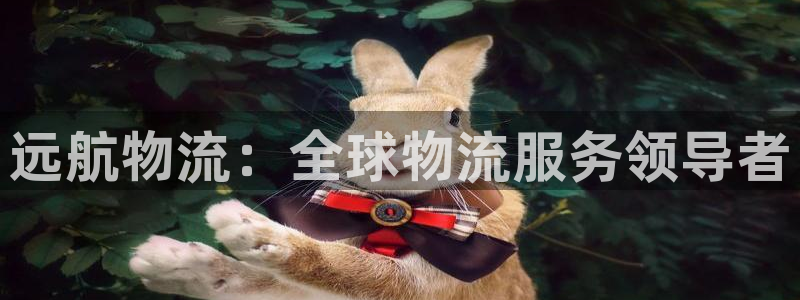 28圈登录用户名登录不上：远航物流：