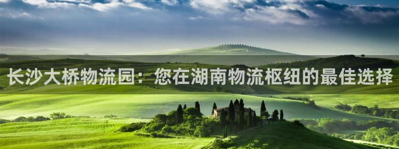 28圈官方网站