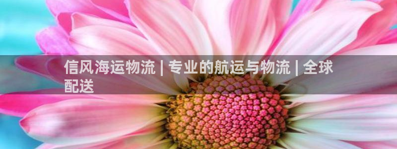 28圈注册用户名是什么：信风海运物流