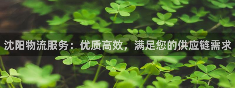 28圈麻将胡了在线试玩：沈阳物流服务