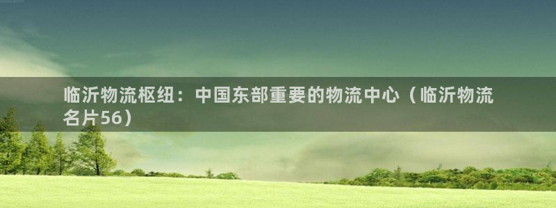 自行车28圈是什么意思：临沂物流枢纽