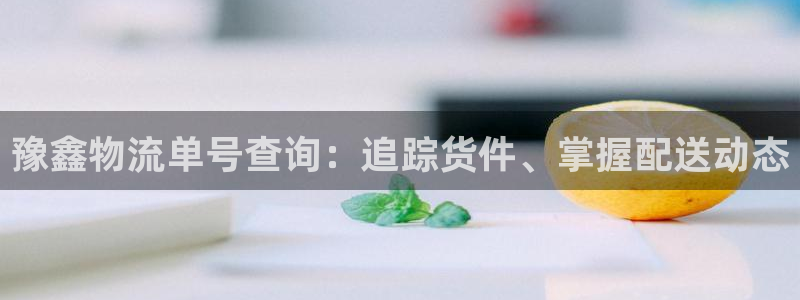 28圈怎么注册游戏名字：豫鑫物流单号查询：追踪货件、掌握配送