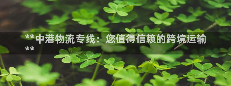 28圈麻将胡了