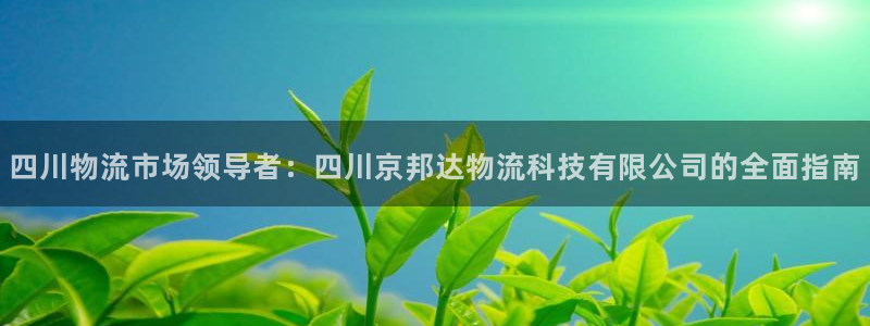 28圈加拿大28：四川物流市场领导者