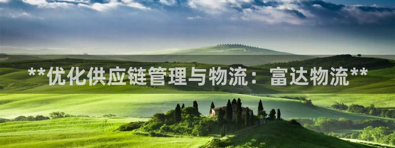 28圈开奖预测：**优化供应链管理与
