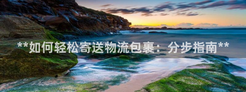 28圈技巧：**如何轻松寄送物流包裹