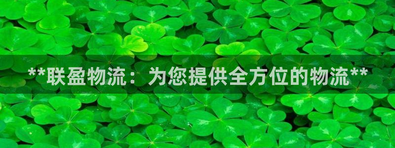 28圈.ccm官网：**联盈物流：为