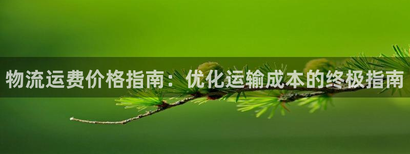 28圈游戏
