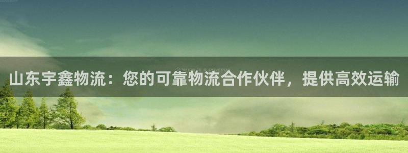 28圈ip被限制怎么解决：山东宇鑫物