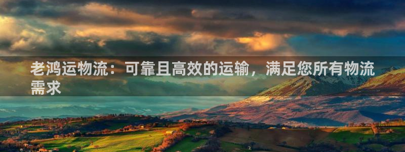 28圈注册与教程：老鸿运物流：可靠且