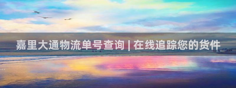 28圈网站怎么注册：嘉里大通物流单号