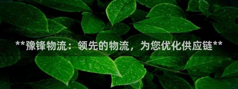 28圈注册网站多少：**豫锋物流：领