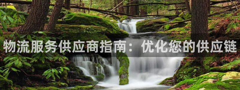 加拿大28圈注册链接：物流服务供应商