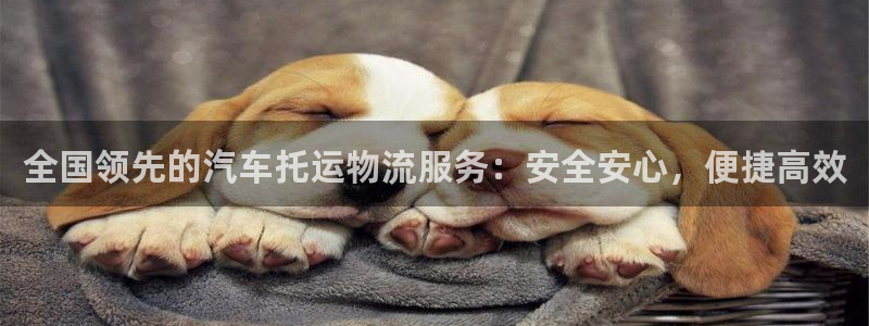 28圈账号注册：全国领先的汽车托运物