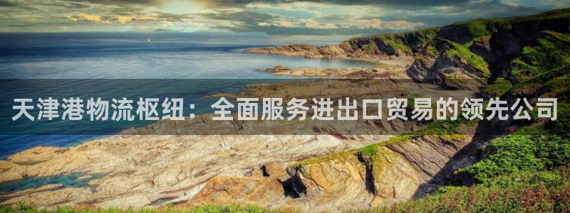 28圈官方：天津港物流枢纽：全面服务进出口贸易的领先公司