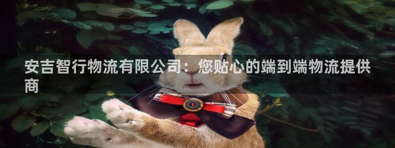 28圈反水什么时候到：安吉智行物流有