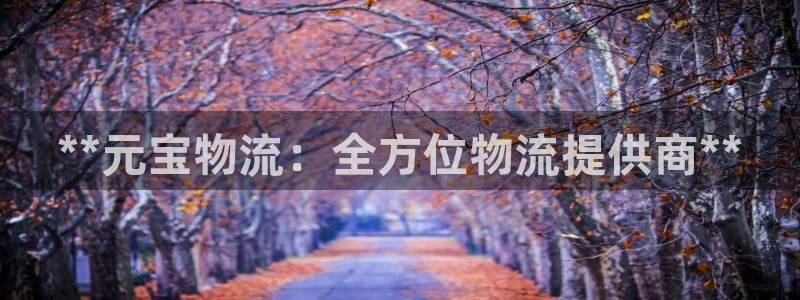 28圈.ccmapp：**元宝物流：