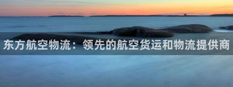 28圈能退款吗：东方航空物流：领先的