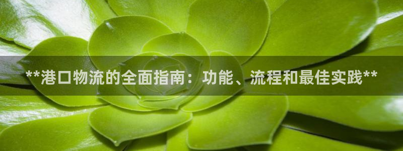 28圈流水怎么算：**港口物流的全面